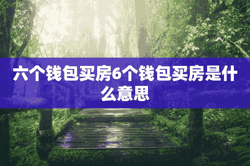 六个钱包买房6个钱包买房是什么意思